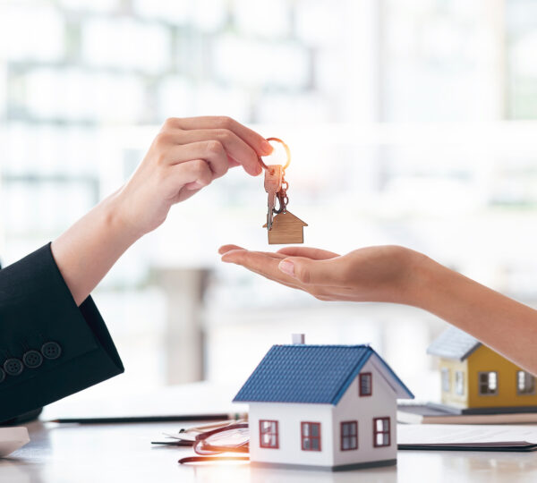 succession immobilière