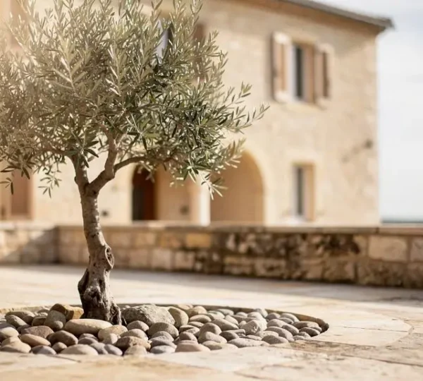 Photographie éditoriale symbolisant la transformation progressive d'une épargne en patrimoine solide sans prise de risque excessive, dans un cadre français